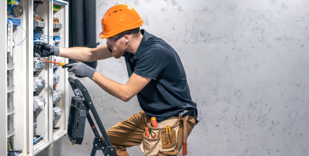 Best Electric Panel Repair  in Wauconda, IL